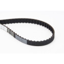Correia dentada CONTINENTAL CTAM CT973