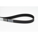 Correia dentada CONTINENTAL CTAM CT978