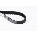 Correia dentada CONTINENTAL CTAM CT988