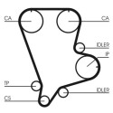 Correia dentada CONTINENTAL CTAM CT993