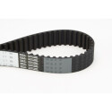 Correia dentada CONTINENTAL CTAM CT994