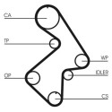 Correia dentada CONTINENTAL CTAM CT998