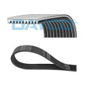 Correia trapezoidal nervurada DAYCO 10PK1448HD