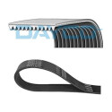 Correia trapezoidal nervurada DAYCO 12PK1814HD