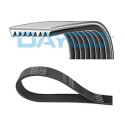 Correia nervurada em V DAYCO 8PK1908HD