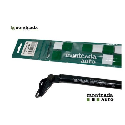 Mola pneumática, porta-malas/compartimento de carga Montcada RTO031