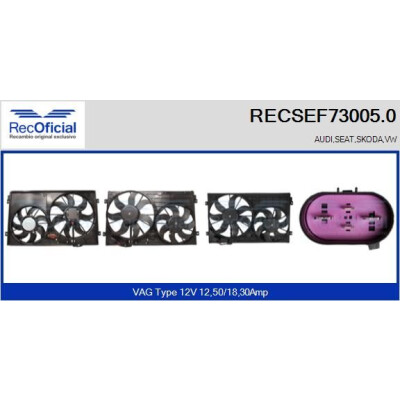 Motor elétrico, ventilador do radiador RECOFICIAL RECSEF73005.0