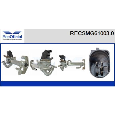 Módulo EGR RECSMG61003.0