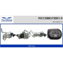 Módulo EGR RECSMG73001.0