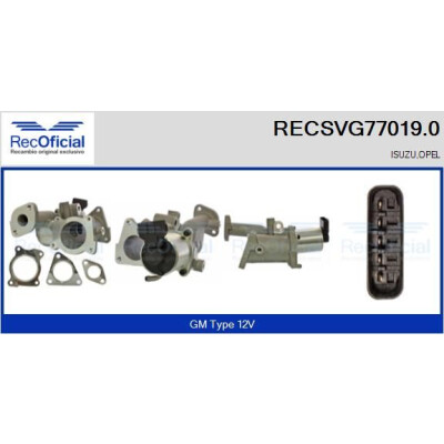 Válvula EGR RECOFFICIAL RECSVG77019.0