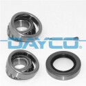 Kit de rolamento de roda DAYCO KWD1162