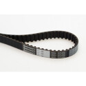 Correia dentada CONTINENTAL CTAM CT1005