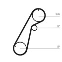 Correia dentada CONTINENTAL CTAM CT1020