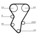 Correia dentada CONTINENTAL CTAM CT588