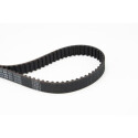 Correia dentada CONTINENTAL CTAM CT979