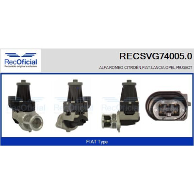 Válvula EGR RECOFFICIAL RECSVG74005.0