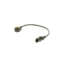 Sensor de detonação