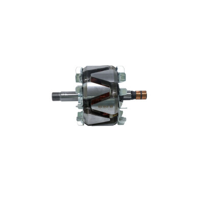 Rotor, alternador