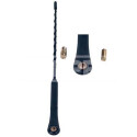 Cabeça de antena