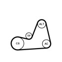 Jogo de correias trapezoidais estriadas