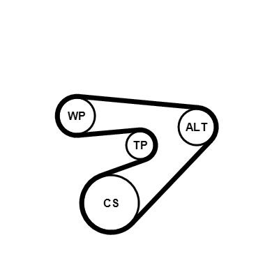 Jogo de correias trapezoidais estriadas