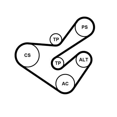 Jogo de correias trapezoidais estriadas