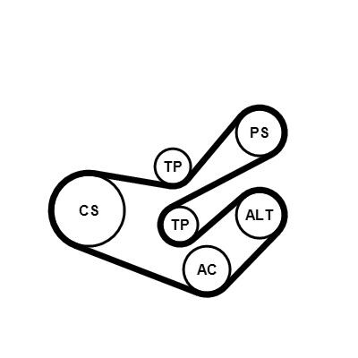 Jogo de correias trapezoidais estriadas