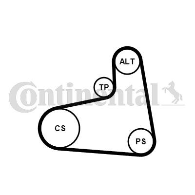 Jogo de correias trapezoidais estriadas