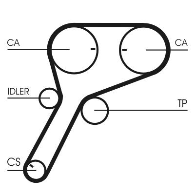 Correia dentada