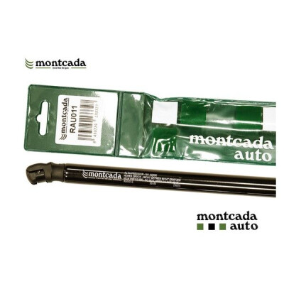 Mola pneumática, capot do motor