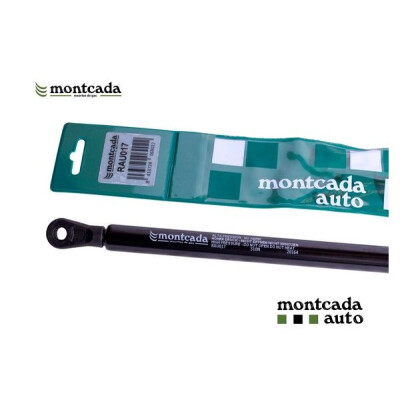 Mola pneumática, capot do motor