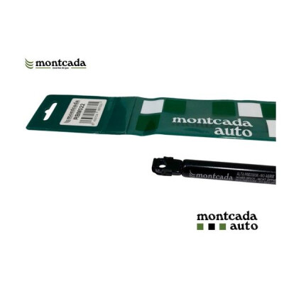 Mola pneumática, capot do motor