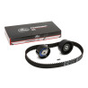 Jogo de correias dentadas PowerGrip®