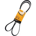 Correia V-poli V ContiTech 6 PK 1795