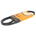 Correia Poly V ContiTech 3 PK 935