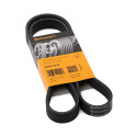 Correia V-poli V ContiTech 6 PK 1210