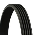 Correia trapezoidal nervurada DAYCO 5PK768