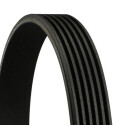 Correia V-poli V ContiTech 6 PK 1318