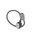 Sensor de detonação