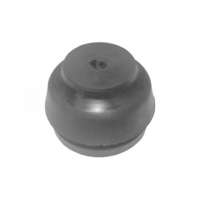 Suporte, motor CAUTEX/FACET 100006