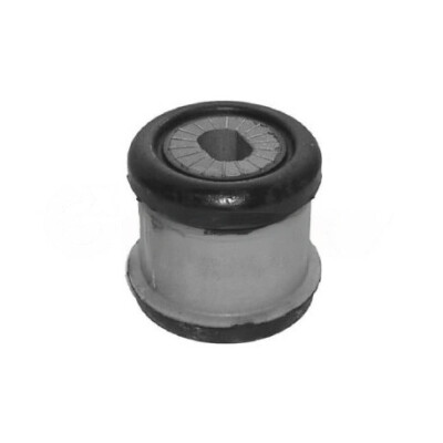Suporte, motor CAUTEX/FACET 461034