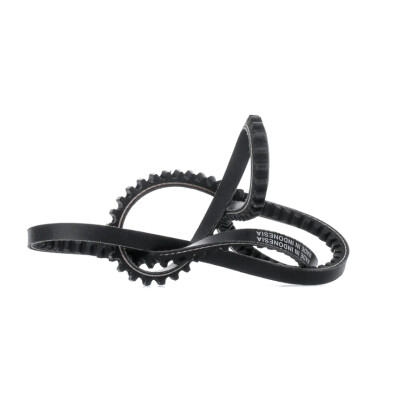 Correia trapezoidal DAYCO 10A1025C
