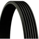 Correia V-poli V ContiTech 7PK1741