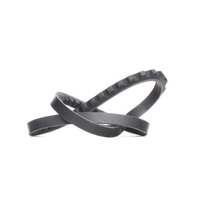 Correia trapezoidal DAYCO 10A0650C