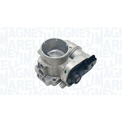 Corpo de borboleta