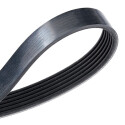 Correia trapezoidal DAYCO 10A0710C