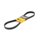 Correia em V de poliéster ContiTech 6PK1029 ELAST