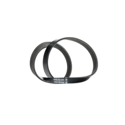 Correia trapezoidal nervurada DAYCO 4PK830EE