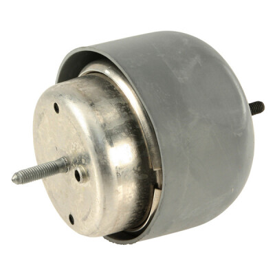 Suporte, motor CAUTEX/FACET 460905