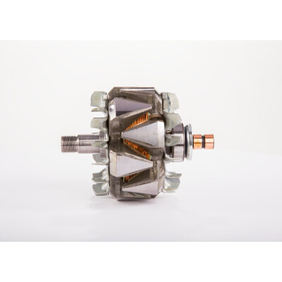 Rotor, alternador